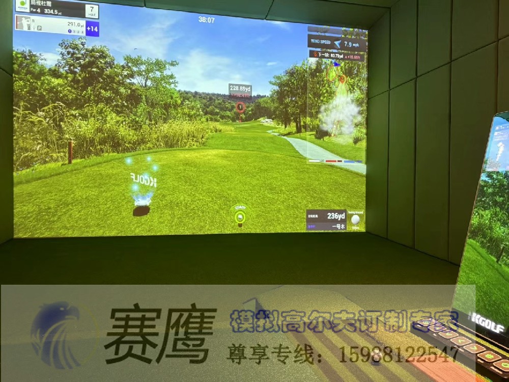 超清4K逼真畫(huà)面--KGOLF卓悅心品