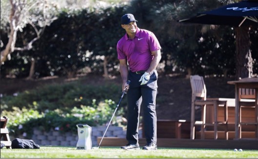 賽鷹美國(guó)高爾夫模擬器GCQ（奢華版）